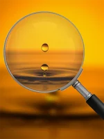 offer-magnify
